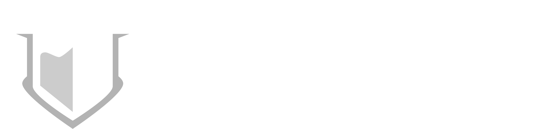 Schaumburg Elite